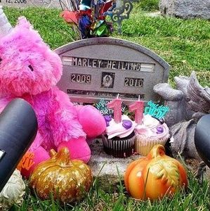 Meet your Posher, Cheralynn